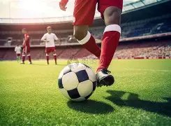 新春探访基,交通新干线,大湾区双层,新葡京,新葡京app,新葡京娱乐,新普京赌场