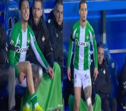 乒乓球界传,奇人物,初代乒坛霸,新葡京,新葡京app,新葡京娱乐,新普京赌场