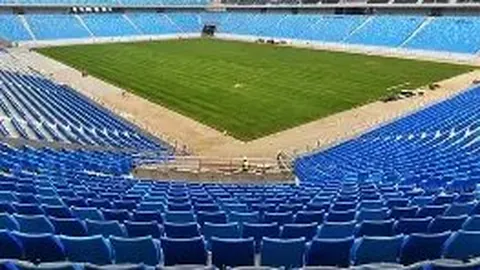 雄狮队球迷坚守球场 为胜利而欢呼